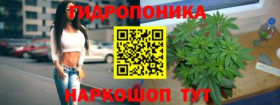 МДПВ Гусев