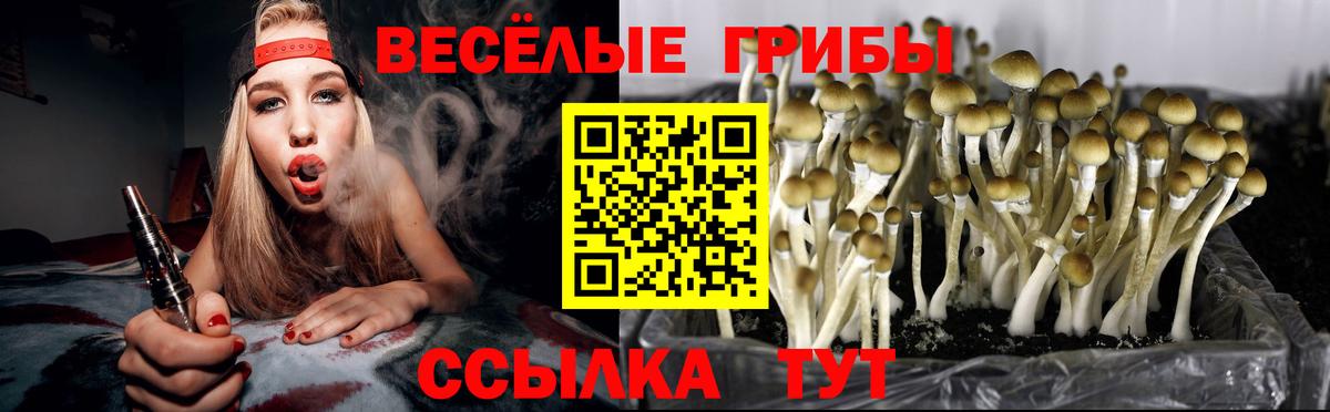 Надым  Галлюциногенные грибы GOLDEN TEACHER  Вход с VPN  Галлюциногенные грибы GOLDEN TEACHER 